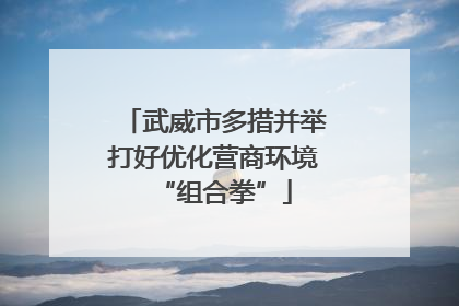 武威市多措并举打好优化营商环境“组合拳”