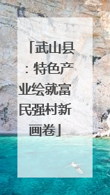 武山县：特色产业绘就富民强村新画卷