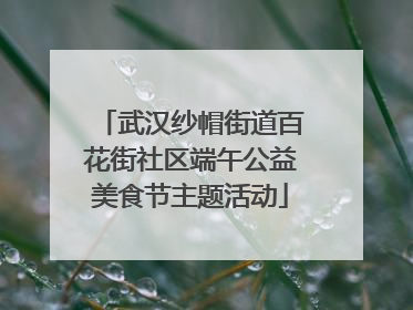 武汉纱帽街道百花街社区端午公益美食节主题活动