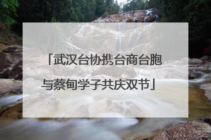 武汉台协携台商台胞与蔡甸学子共庆双节