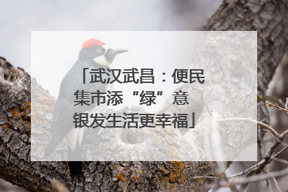 武汉武昌：便民集市添“绿”意 银发生活更幸福