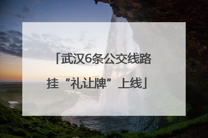 武汉6条公交线路挂“礼让牌”上线