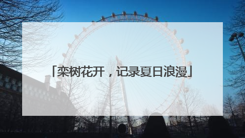 栾树花开，记录夏日浪漫