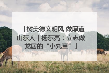 树美德文明风 做厚道山东人｜杨东亮：立志做龙居的“小丸童”