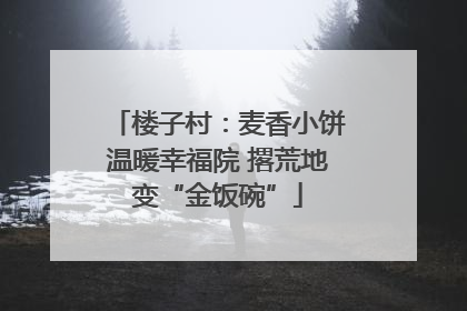 楼子村：麦香小饼温暖幸福院 撂荒地变“金饭碗”