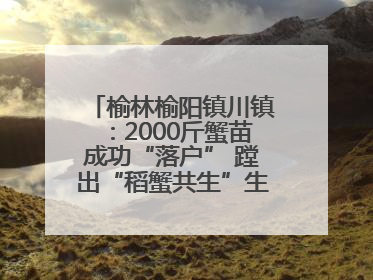 榆林榆阳镇川镇：2000斤蟹苗成功“落户” 蹚出“稻蟹共生”生态种养新路径