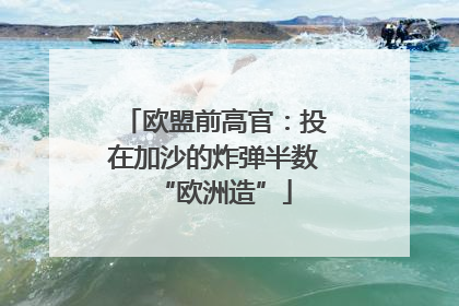 欧盟前高官：投在加沙的炸弹半数“欧洲造”