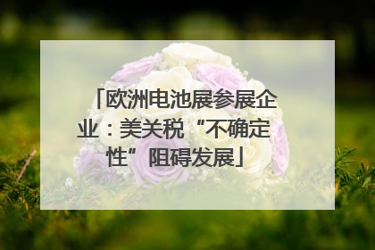 欧洲电池展参展企业：美关税“不确定性”阻碍发展