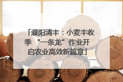 濮阳清丰：小麦丰收季 “一条龙”作业开启农业高效新篇章