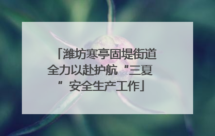 潍坊寒亭固堤街道全力以赴护航“三夏”安全生产工作
