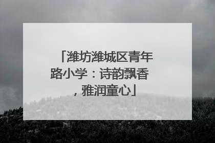 潍坊潍城区青年路小学：诗韵飘香，雅润童心