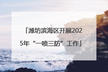 潍坊滨海区开展2025年“一喷三防”工作