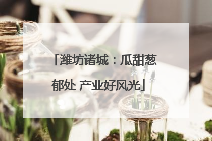 潍坊诸城：瓜甜葱郁处 产业好风光