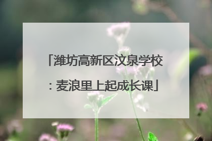 潍坊高新区汶泉学校：麦浪里上起成长课