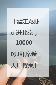 潜江龙虾走进北京，100000只虾席卷大厂餐桌