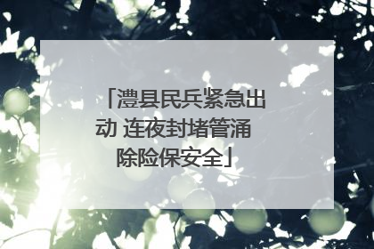 澧县民兵紧急出动 连夜封堵管涌除险保安全