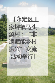 永定区王家坪镇马头溪村：“非遗赋能乡村振兴”交流活动举行