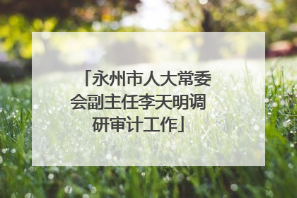 永州市人大常委会副主任李天明调研审计工作