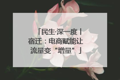 民生·深一度丨宿迁：电商赋能让流量变“增量”