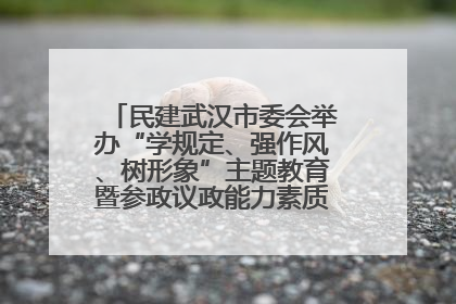 民建武汉市委会举办“学规定、强作风、树形象”主题教育暨参政议政能力素质提升培训班