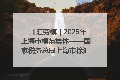 汇劳模｜2025年上海市模范集体——国家税务总局上海市徐汇区税务局第一税务所