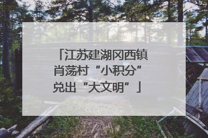 江苏建湖冈西镇肖荡村“小积分”兑出“大文明”
