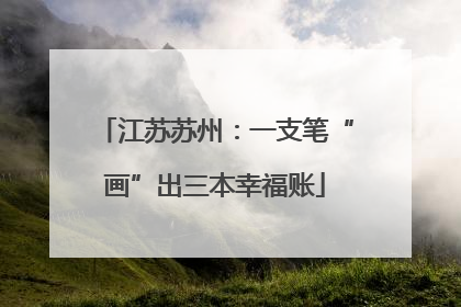 江苏苏州：一支笔“画”出三本幸福账
