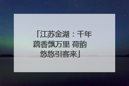 江苏金湖：千年藕香飘万里 荷韵悠悠引客来