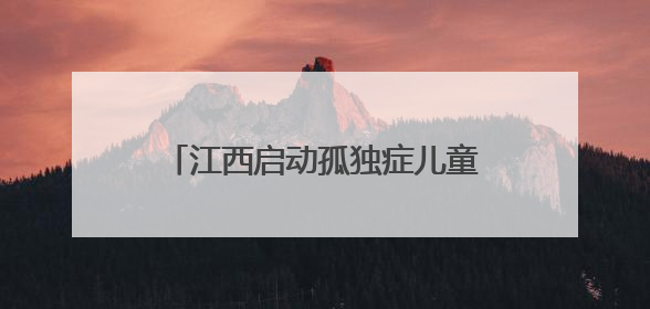 江西启动孤独症儿童关爱服务公益行动 提供系统化康复服务
