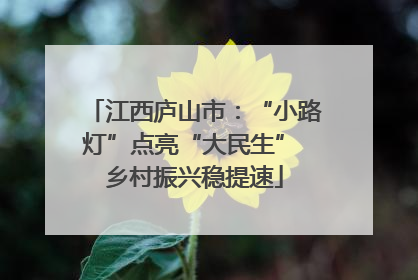 江西庐山市：“小路灯”点亮“大民生” 乡村振兴稳提速
