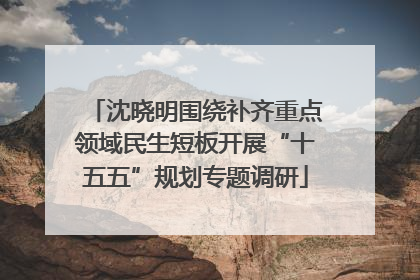 沈晓明围绕补齐重点领域民生短板开展“十五五”规划专题调研