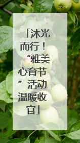 沐光而行！“雅美心育节”活动温暖收官