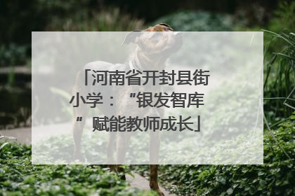 河南省开封县街小学：“银发智库”赋能教师成长