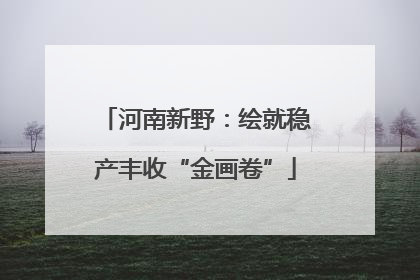 河南新野：绘就稳产丰收“金画卷”