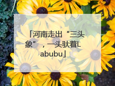 河南走出“三头象”，一头驮着Labubu