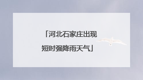 河北石家庄出现短时强降雨天气