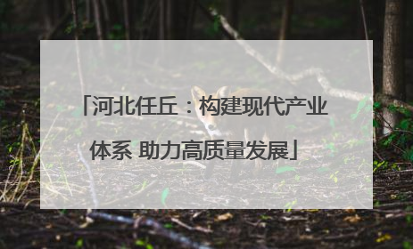 河北任丘：构建现代产业体系 助力高质量发展