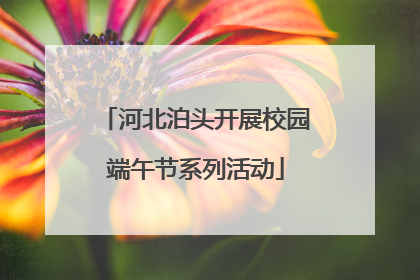河北泊头开展校园端午节系列活动