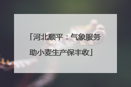 河北顺平：气象服务助小麦生产保丰收