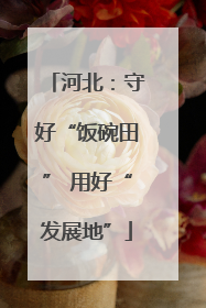 河北：守好“饭碗田” 用好“发展地”
