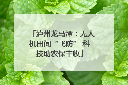 泸州龙马潭：无人机田间“飞防” 科技助农保丰收