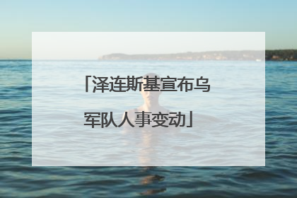 泽连斯基宣布乌军队人事变动