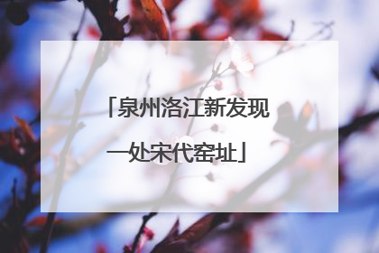 泉州洛江新发现一处宋代窑址