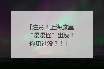 注意！上海这里“嘤嘤怪”出没！你见过没？！