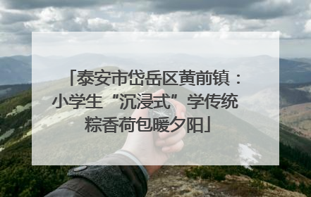 泰安市岱岳区黄前镇：小学生“沉浸式”学传统 粽香荷包暖夕阳