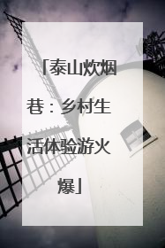 泰山炊烟巷：乡村生活体验游火爆