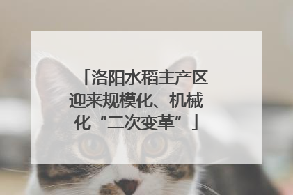 洛阳水稻主产区迎来规模化、机械化“二次变革”