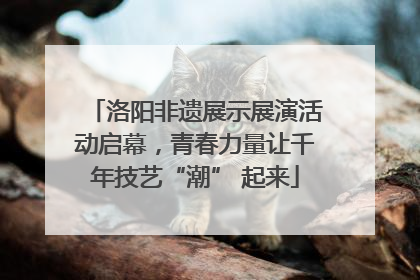 洛阳非遗展示展演活动启幕，青春力量让千年技艺“潮” 起来