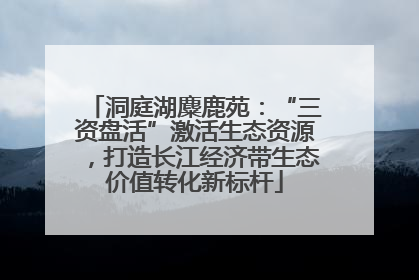 洞庭湖麋鹿苑：“三资盘活”激活生态资源，打造长江经济带生态价值转化新标杆