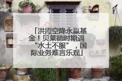洪霞空降永赢基金！贝莱德时期遇“水土不服”，国际业务难言乐观